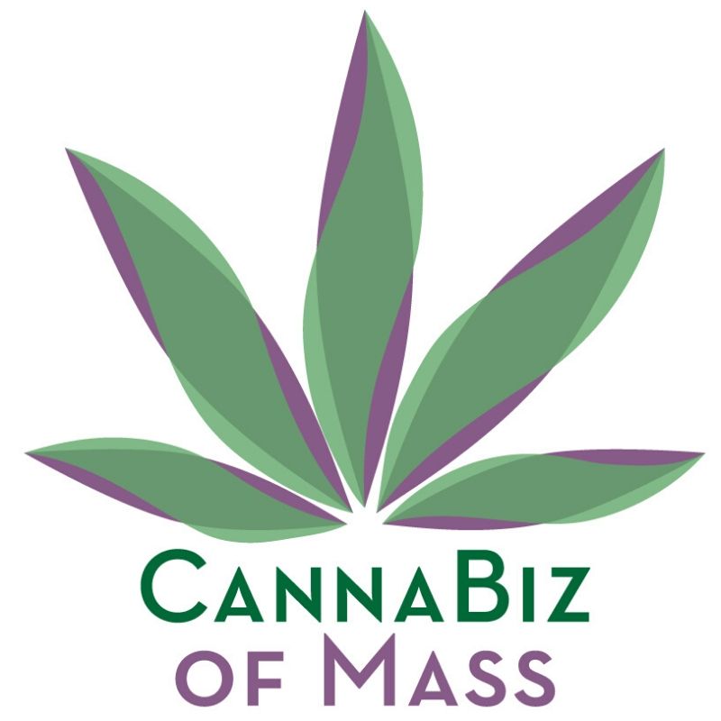 Cannabis Business Association formed in Massachusetts